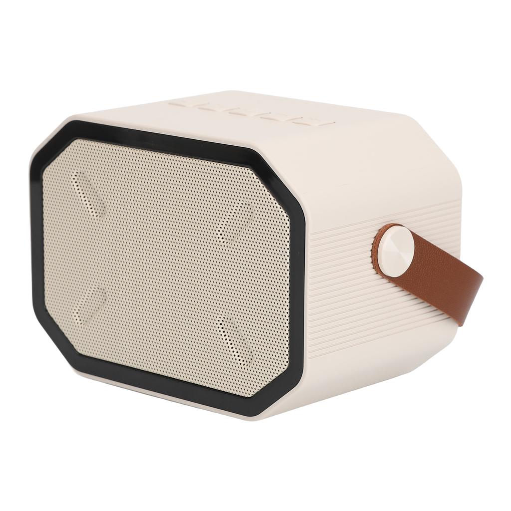 Караоке-машина, белая колонка для караоке с 2 беспроводными микрофонами, ручная ослепительная подсветка для караоке