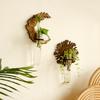 1Pc Hydroponic Vase INS Plant Display Rack Simplicity Wooden Wall Hanging Farmhouse Decoration Wall Decoration Home Furnishing