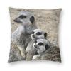 Meerkat Family Hug Square Pillowcase Polyester Linen Velvet Creative Zip Decorative Throw Pillow Case Room x