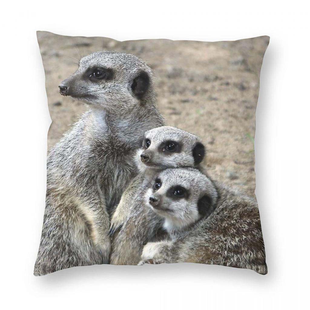Meerkat Family Hug Square Pillowcase Polyester Linen Velvet Creative Zip Decorative Throw Pillow Case Room x