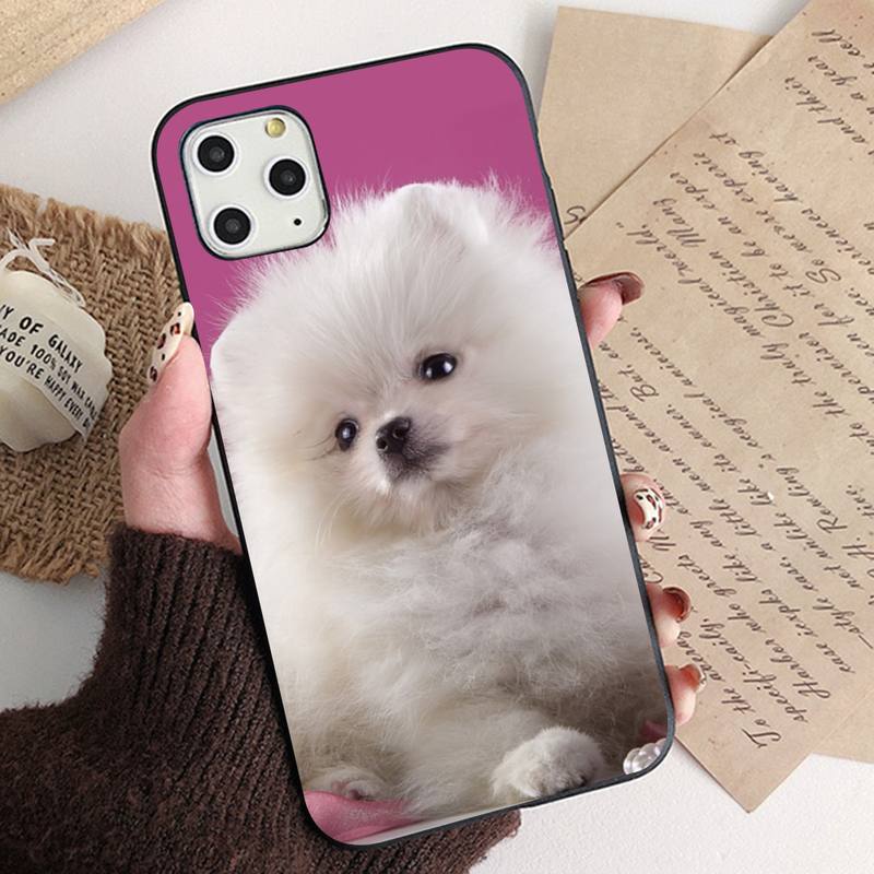 Чехол для телефона MaiYaCa Pomeranian dogs для iPhone 11 12 13 mini pro XS MAX 8 7 6 6S Plus X 5S SE 2020 XR