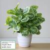 Simulated Green Radish Potted Plants for Indoor/Outdoor Decor - Artificial Flowers & Plants