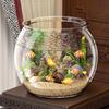 Plastic Desktop Fish Tank Ultra Clear Desktop Small Aquarium Round Fish Bowl  Desktop Decoration