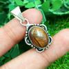 Tiger's Eye Gemstone 925 Sterling Silver Plated Necklace Chain Pendant Jewelry NST-J2H8384
