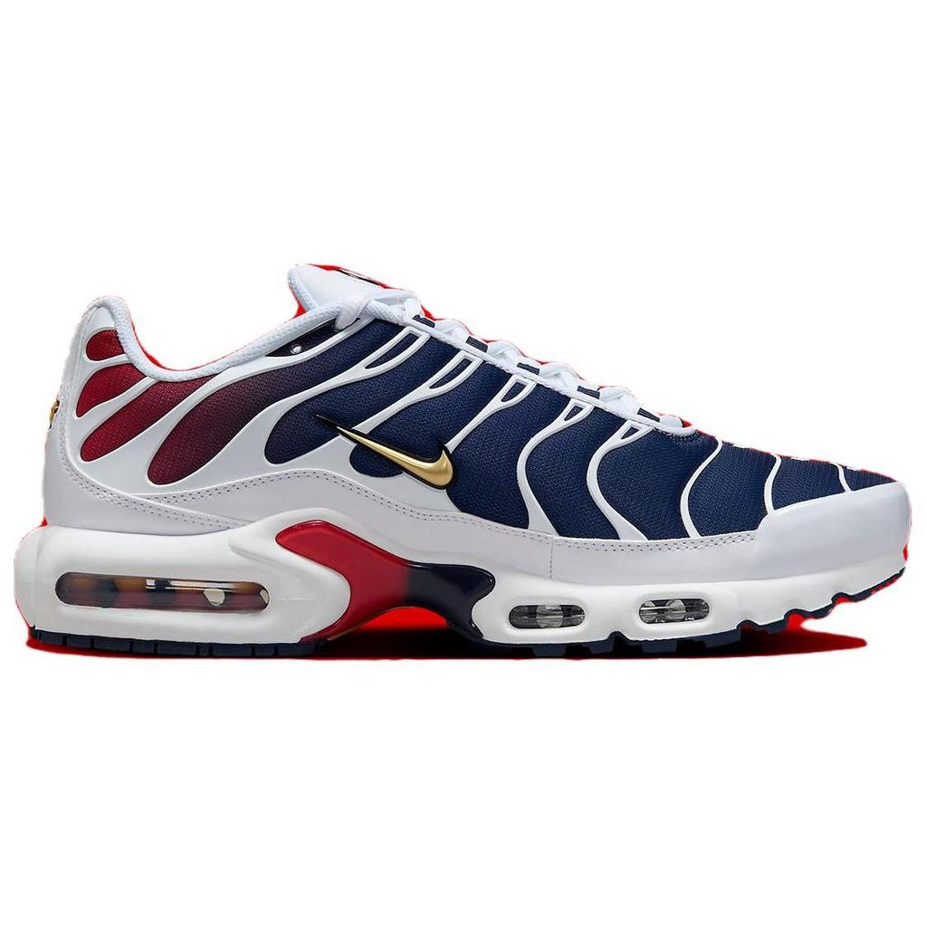 Nike Air Max Plus Psg FZ4776-100