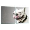 2x GLASS PROTECTIVE PLATE FOR STOVE 40x52 DOG