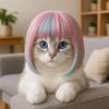 Универсальный парик-костюм для длинношерстной собаки и кошки, разноцветный, смешной, для косплея кошек, мечтательный образ, головной убор для собаки, костюм для вечеринки