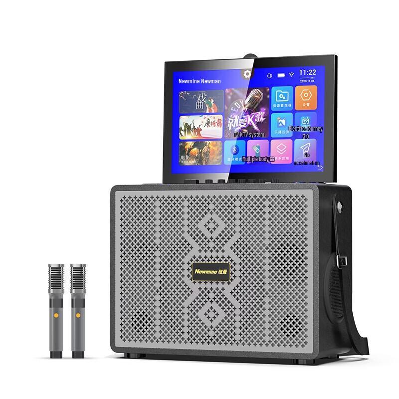 Newmine N523 Домашняя Bluetooth-аудиосистема KTV Штепсель CN (адаптер в комплекте)