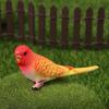 Simulation Parakeet Miniature Landscape Ornament Artificial Bird Model Props