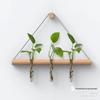 Elegant Wall Hanging Hydroponic Vase with Hemp Rope for Plants and Pothos