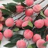Plastic Simulation Peach Fruit 6 Heads Fake Plants Artificial Peach Branch  Home Garden Decor