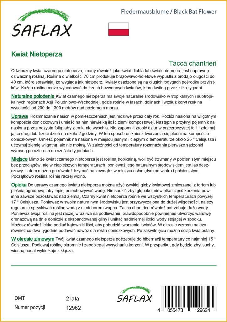 SAFLAX Цветок черной летучей мыши - 10 семян - Tacca chantrieri