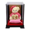 Longevity Bear 4S 12cm Size [Petitrou] (Case) (100-Year-Old Normal)