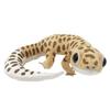TST Advanced Realistic Leopard Gecko