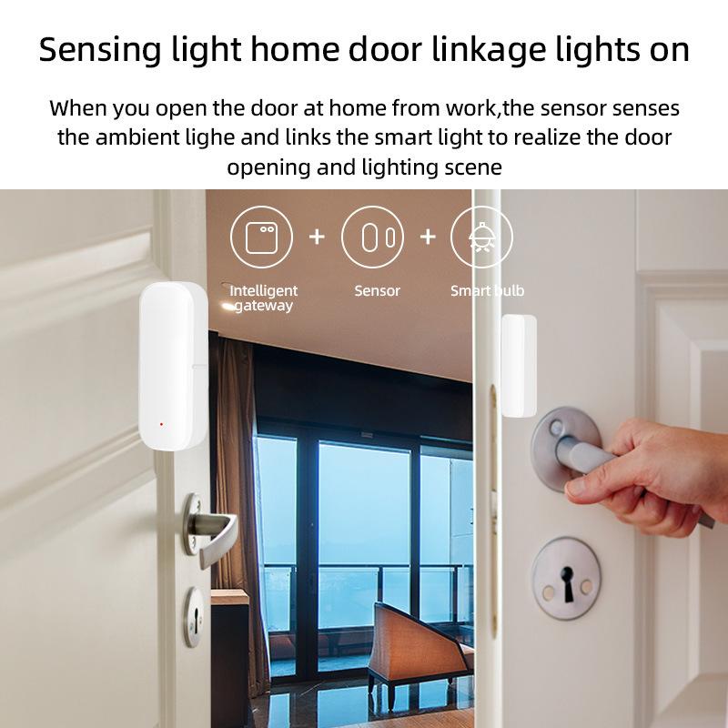 Tuya/Zigbee Smart WiFi Магнитный датчик открытия/закрытия двери Уведомление об управлении приложением Smart Life Совместимость с Alexa Google