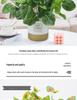 Artificial Bionic Green Plants: Floor-Standing Turtle Back Leaves Ornament for Living Room and Bedroom Decor