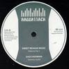 10-дюймовая пластинка SELECTA FAR I, SAMMY GOLD, ROBERTO - Sweet Reggae Music / Gaza Badman / R001 RAGGATTACK 2010 Регги, Ска и Даб Б/У