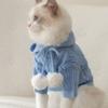 New Cat Sweater Autumn and Winter Warm Hooded Hairball Two-legged Cat Puppet Small Dog Pet Clothes and Clothing