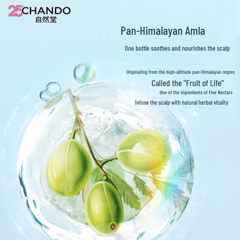 CHANDO Herbal Hair Care Oil Control & Anti-Dandruff Set