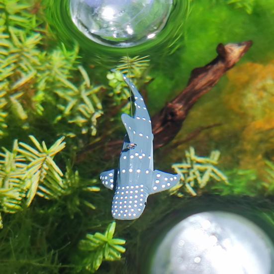 Mini Shark Simulated Floating Whales Aquarium Ornaments Realistic Floating Cartoon Figurines Odorless Fish Tank Decoration Vibrant Colors Miniature