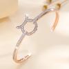 Korean Style Exquisite and Trendy Zircon-studded Women's Versatile Niche Women's Bracelet Bracelet