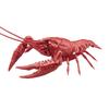 Free Research Series No. 24 EX-6 Living Creatures Edition American Crayfish (Metallic Red) Plastic Model