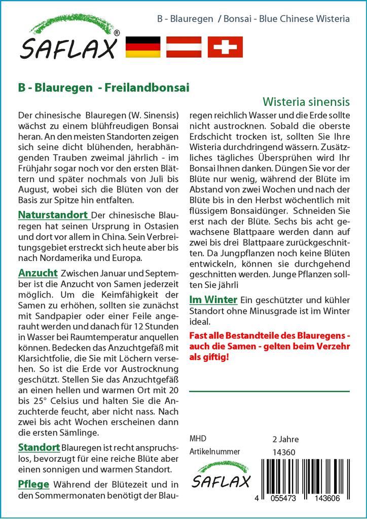 SAFLAX Garden in the Bag - Бонсай - Глициния китайская голубая - 4 семени - С субстратом в подходящем пакете - Wisteria sinensis