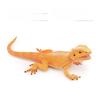 ПВХ Фигурка животного-амфибии и рептилии для обучения и декора для детей