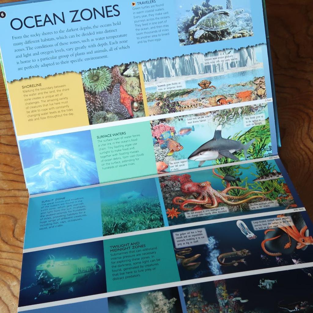 [USED] Sale! 3-D Explorer: Oceans - A guide to the mysteries of the ocean