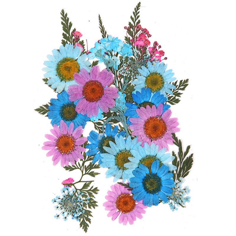 Популярные маленькие 25 шт./пакет, высокое качество, украшение для дома, сушеные цветы, прессованные цветы, консервированные цветы, сделай сам, мини-цветы ручной работы
