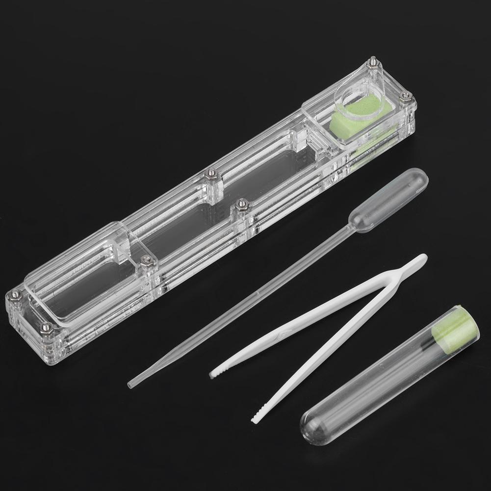 Acrylic Ant Breeding House Nest Formicarium Display Box with Water Tower Moisturizing