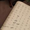 Chen Guozhao Cursive Calligraphy Practice Book: Red Outlined Xuan Paper with Brush for Beginners