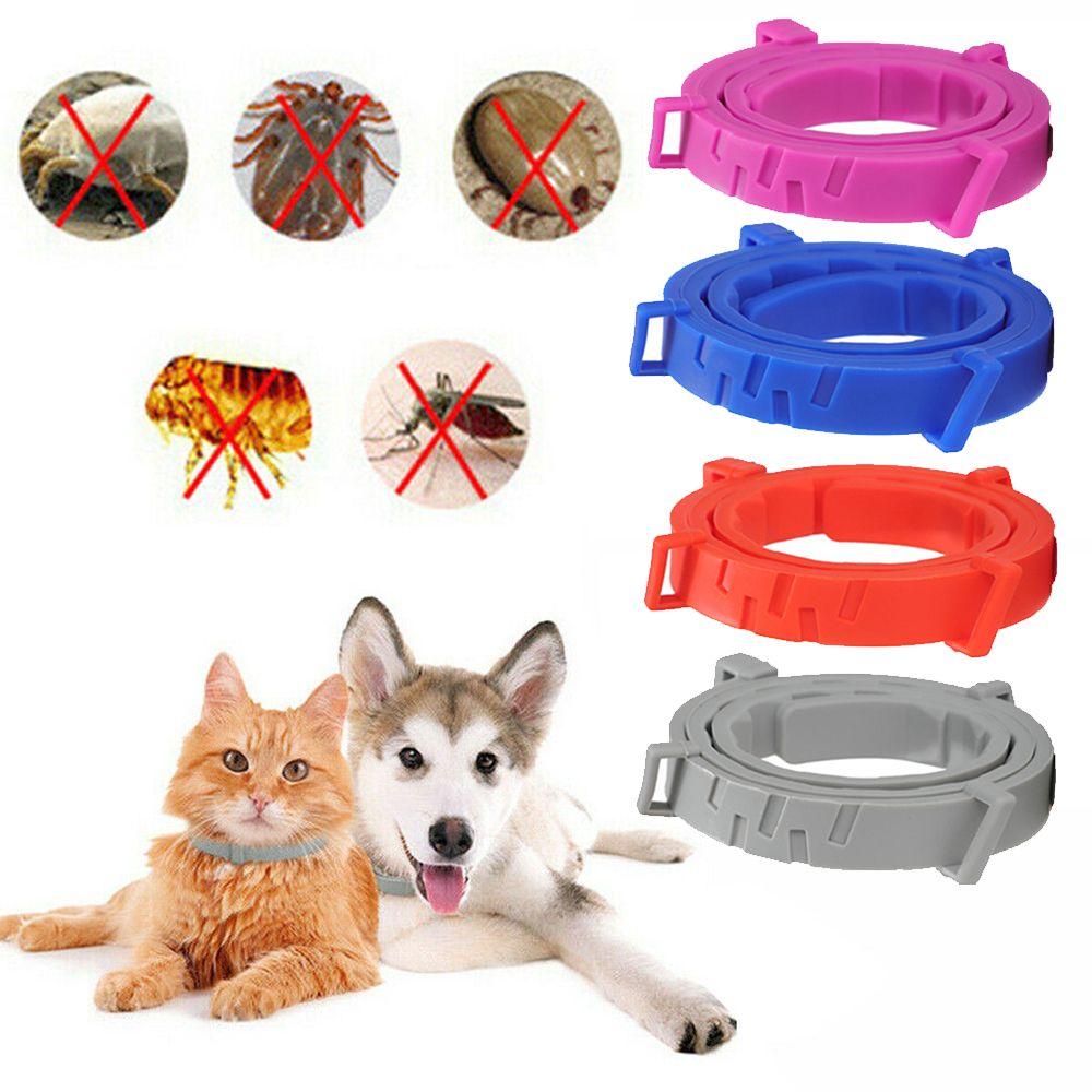 8 Month Prevention Rubber for Dogs Cats Flea and Tick Collar Adjustable Flea and Tick Protection