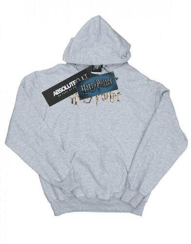 Harry Potter Boys Full Colour Logo Hoodie