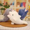 PP Cotton Simulation Dolphin Plush Toy Fluffy Plush Stuffed Whale Toys  Kids Gifts