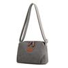 Ladies Casual Crossbody Bags for Women Messenger Bag 2024 Winter Female Small Canvas Clutch Purses Shoulder Bags