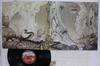 Виниловая пластинка YES Relayer P6527A ATLANTIC 1981 Япония Рок Б/у