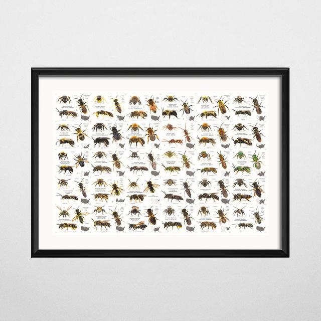 Винтажный стиль плакаты бабочка насекомое холст картины постеры и принты настенная художественная картина для гостиной домашний декор Cuadros