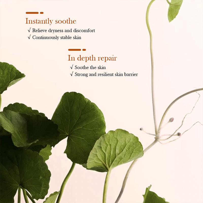 DOLANJN 5 шт. Набор для ухода за кожей Centellasun Сыворотка для восстановления после солнца Тонизирующий тонер Очищающее масло с центеллой Азиатская Очищающая пенка для проблемной кожи и Успокаивающий крем