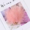 8-12Cm Colord Turkey Feathers  Natural Marabou Fly Tying Marabou Plumes For Craft Jewelry Making Decor
