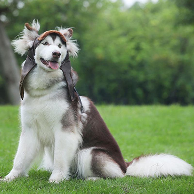 Осенне-зимний костюм, косплей, кепка-авиатор для домашних животных, защитные шапки для собак, ветрозащитные, теплые, забавные