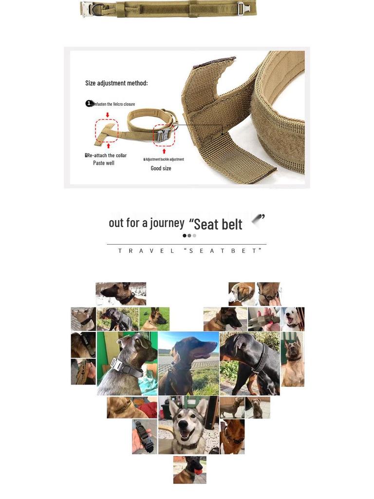 Tactical Adjustable Dog Collar & Leash - Outdoor Explosion-Proof Training Collar.