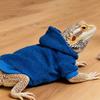 Warm Reptile Hoodies Handmade Bearded Dragon Hoodies Cute Lizards Clothes  Photo Outfit