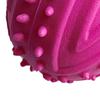 Dog Rugby Ball Toy Bite Resistant Teeth Grinding TPR Interactive Dog Chewing Toy for Small Dogs