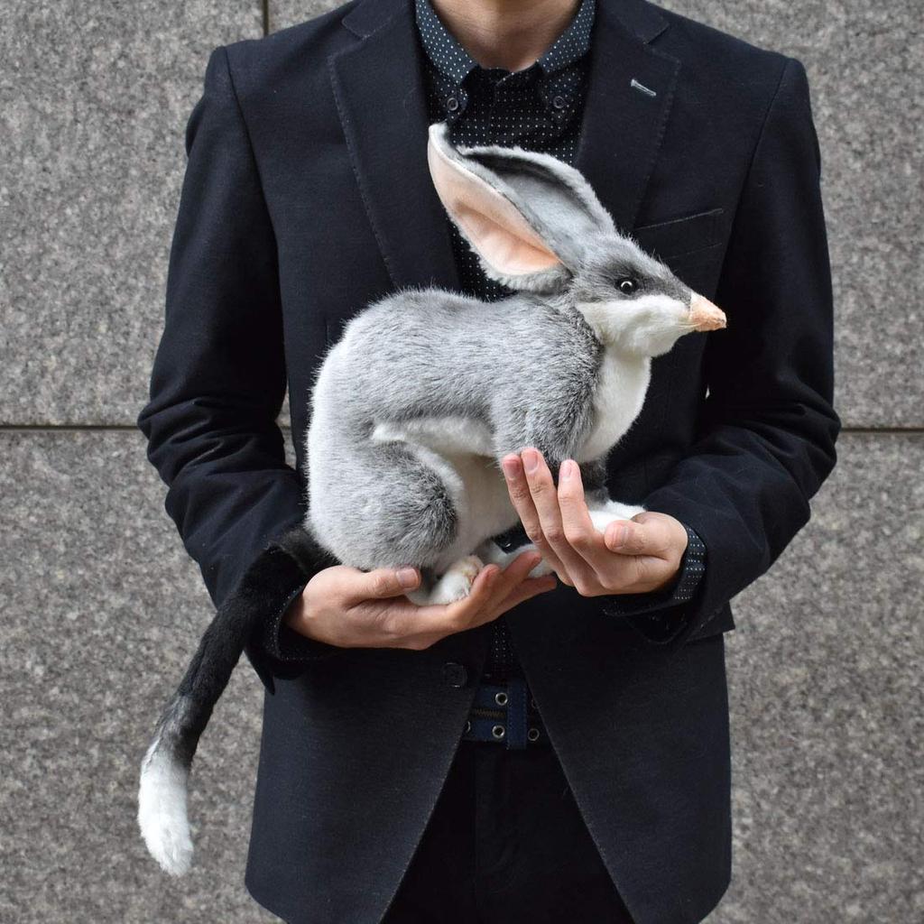 BH7445 HANSA Bilby 30