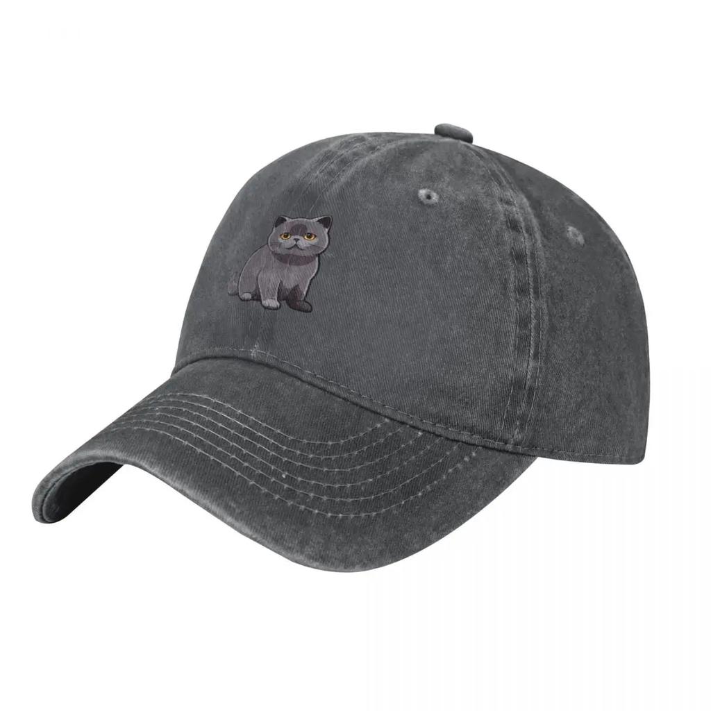 Cute British Shorthair Cat Baseball Cap Snap Back Hat luxury Women cap Sports Cap Hip Hop FeUnisex Unisexs