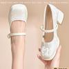 High Heels Women's Shoes 2025 New Chinese Style Embroidery Versatile Strap Single Shoe Square Toe Mary Jane Thick Heel Shoes