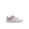 Nike Кроссовки Dunk Low для катания на скейтборде для детей Белый Светло-фиолетовый Детские FB9108-128