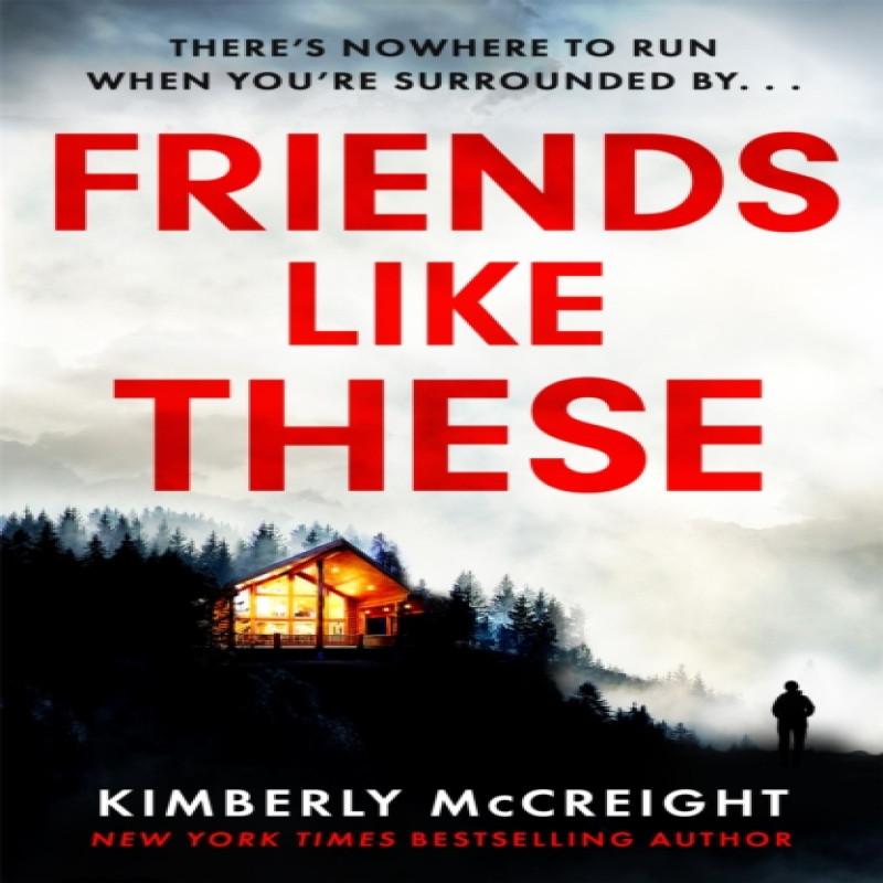 Friends Like These by Kimberly McCreight Paperback Book 9781472292957