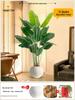 Искусственное дерево Стрелиция - Роскошная зелень для декора гостиной